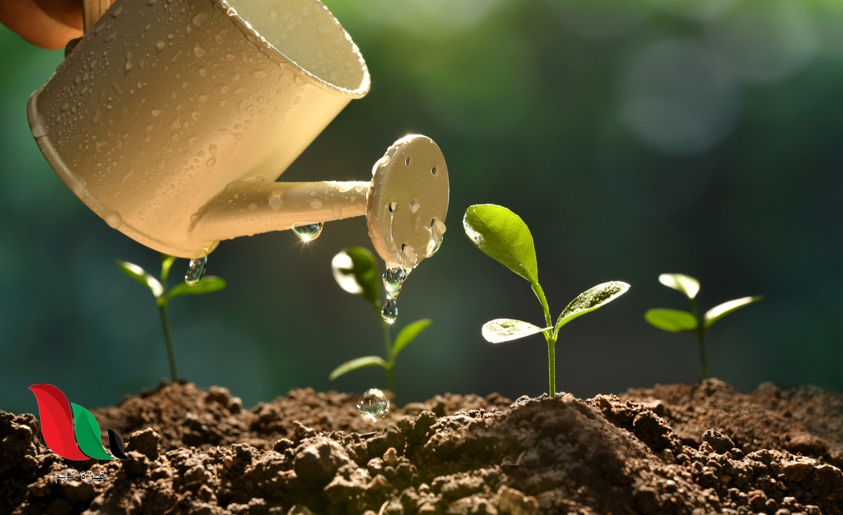 تسمى العوامل التي تتحكم في نمو النباتات والحيوانات السعة التحميلية