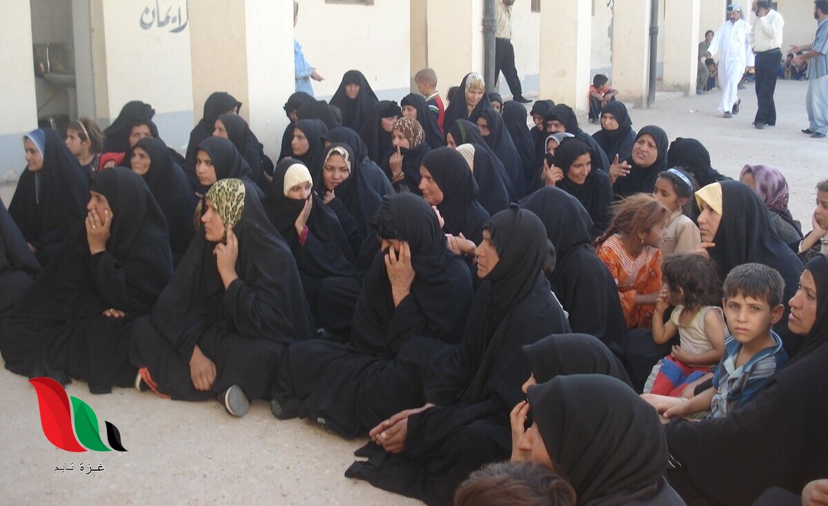 رابط اسماء الرعاية الاجتماعية 2022 الوجبة الثامنة بالعراق