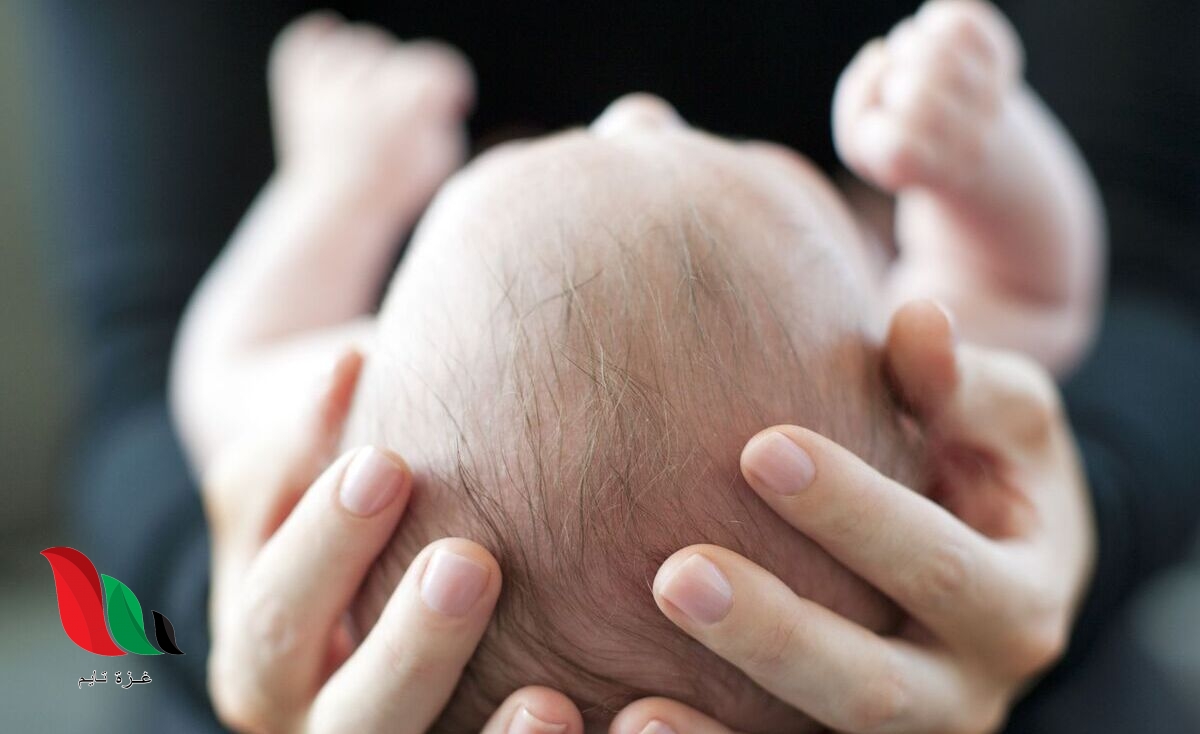 كم عظمة في جسم الإنسان عند ولادته