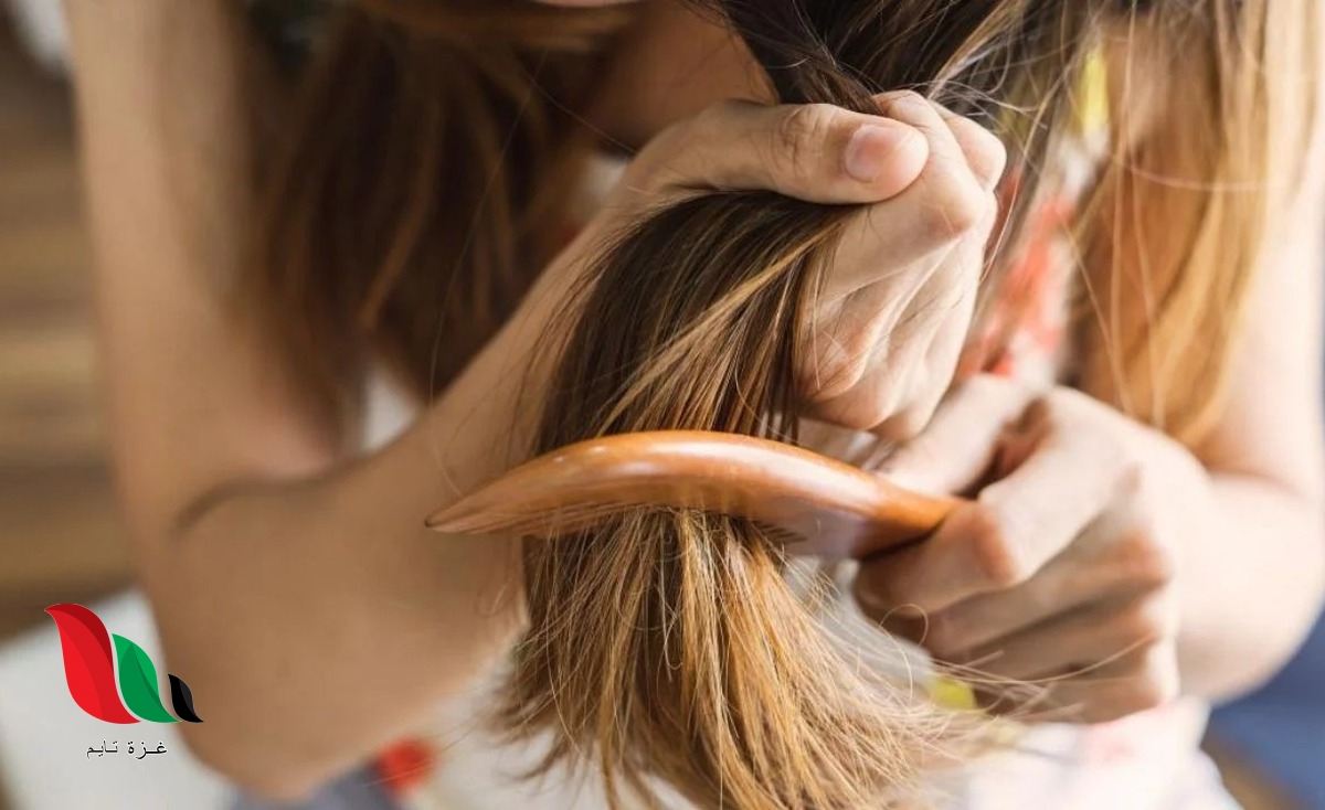 5 أغذية طبيعية تمنع تساقط الشعر وتعزز سماكته