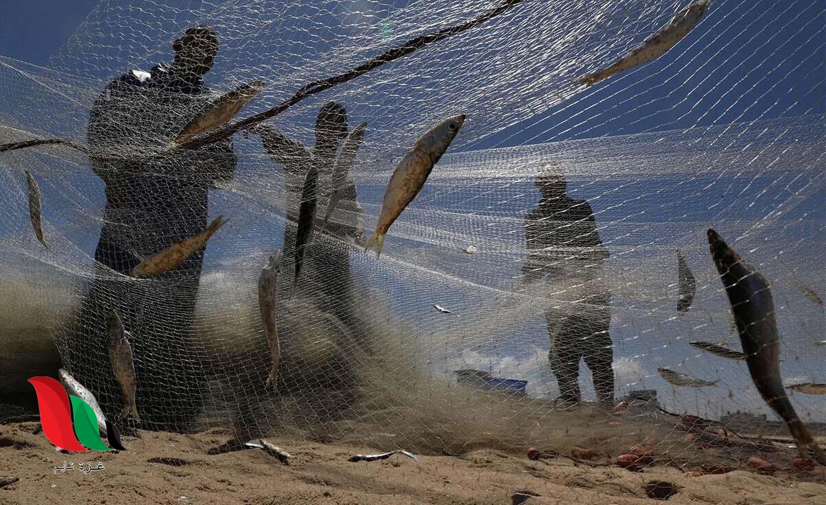 أقفاص الأسماك البحرية محاولة لسد العجز في غزة