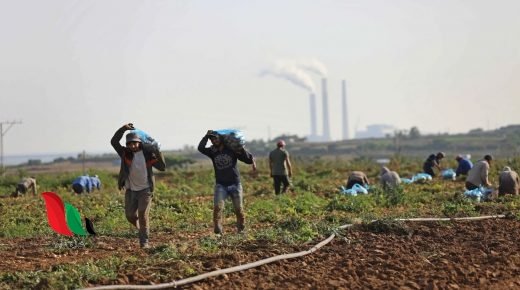 الاحتلال يستهدف المزارعين وسط وجنوب قطاع غزة