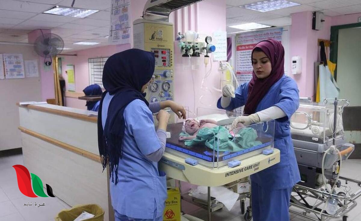 تسجيل 5145 مولودًا جديدًا خلال أغسطس في غزة