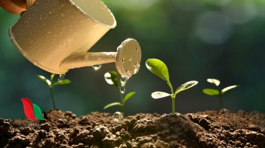 تسمى العوامل التي تتحكم في نمو النباتات والحيوانات السعة التحميلية