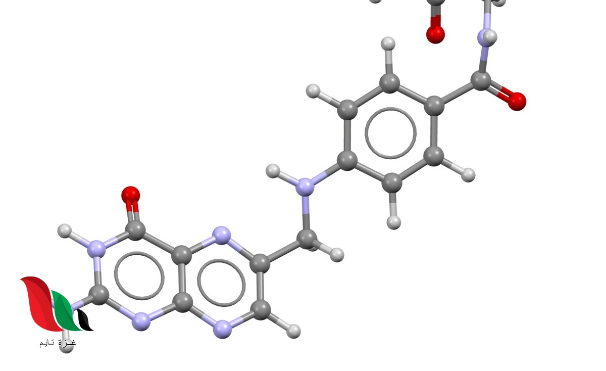 من فوائد البكتيريا انتاج فيتامين ب12 و الرايبوفلافين