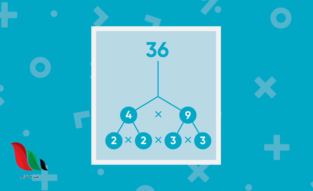 يحلل العدد الي عوامله الأولية ٤٥٠ الى