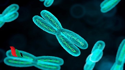 يسمى الجزء من dna المحمول على الكروموسوم صح ام خطا