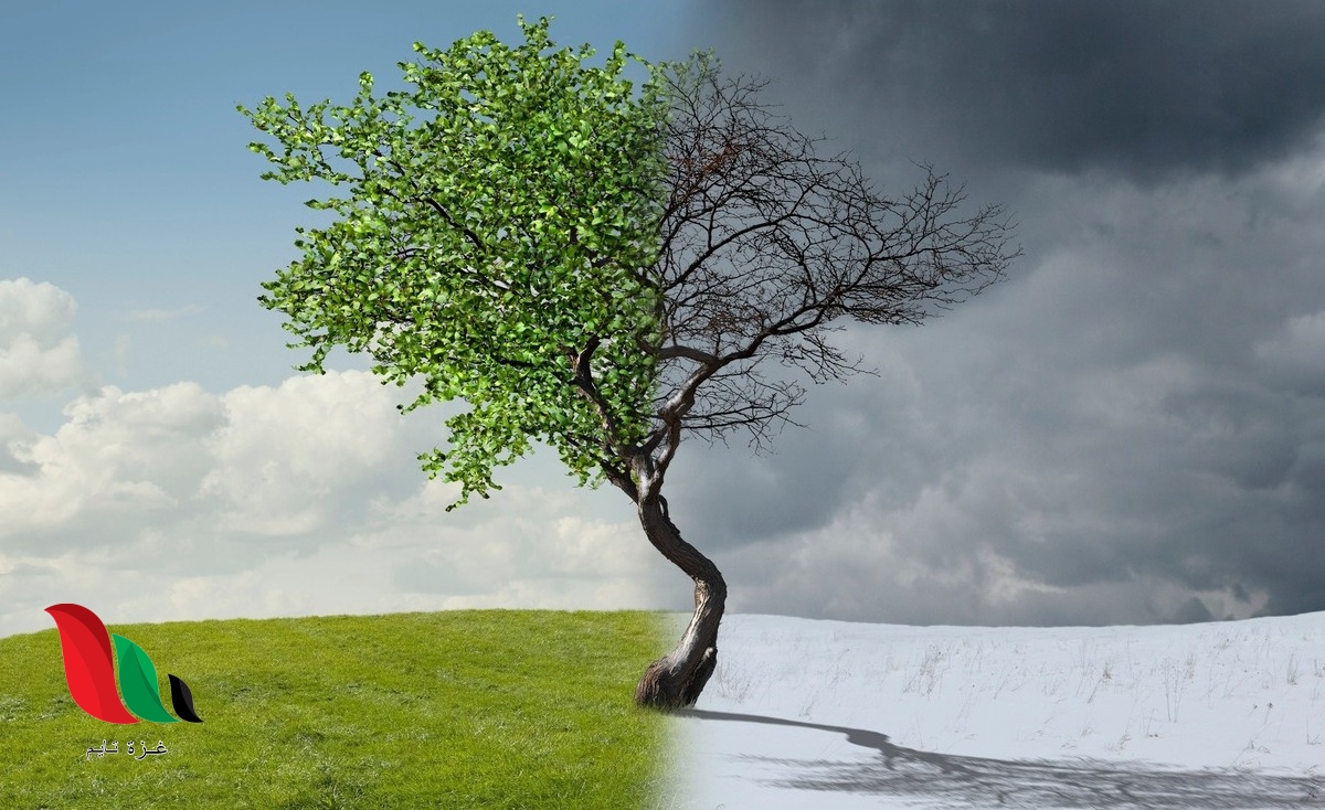 بحث جاهز عن التغيرات المناخية pdf وكيفية الحد من اثارها السلبية على مصر بالمراجع