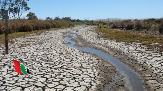 عند حدوث الجفاف في منطقة ما فإن ذلك يؤثر على الحيوانات والنبات