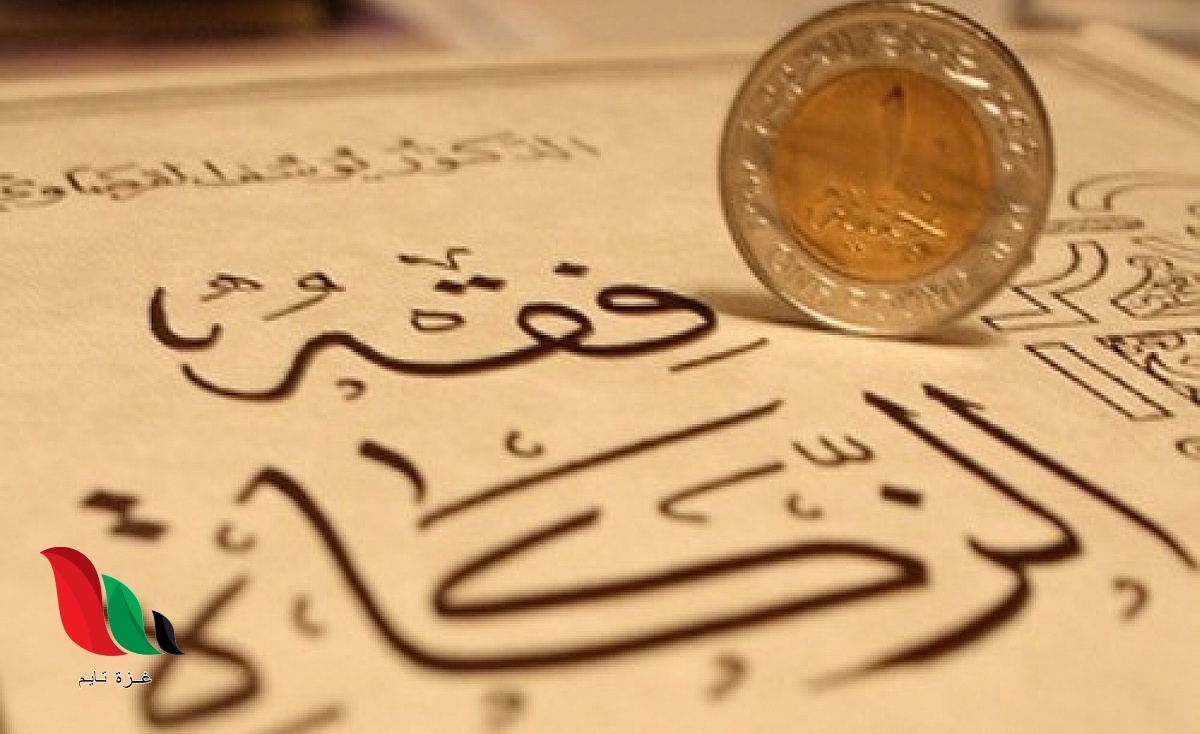 مقدار الزكاة الواجبة فيما سقي بمؤونة وكلفة هو