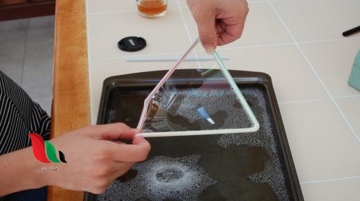 من خلال النفاذية الاختيارية يتم التحكم في مرور المواد بالغشاء البلازمي بيت العلم