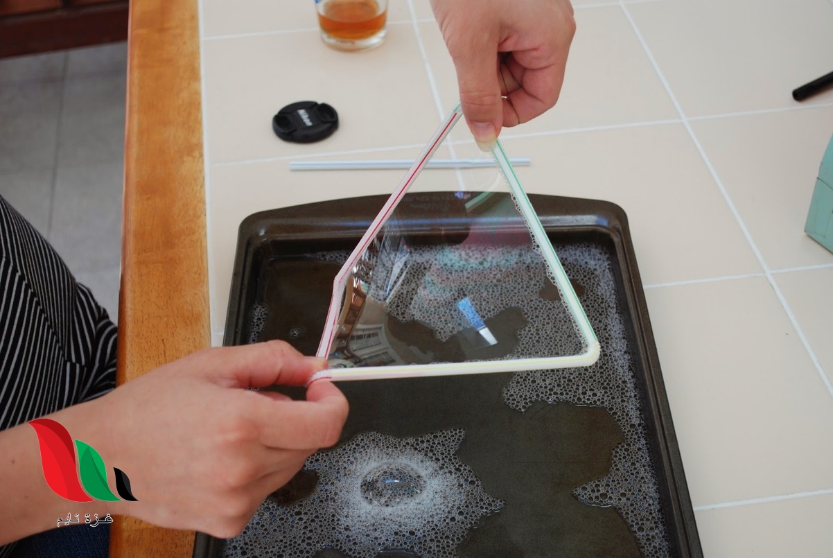 من خلال النفاذية الاختيارية يتم التحكم في مرور المواد بالغشاء البلازمي بيت العلم