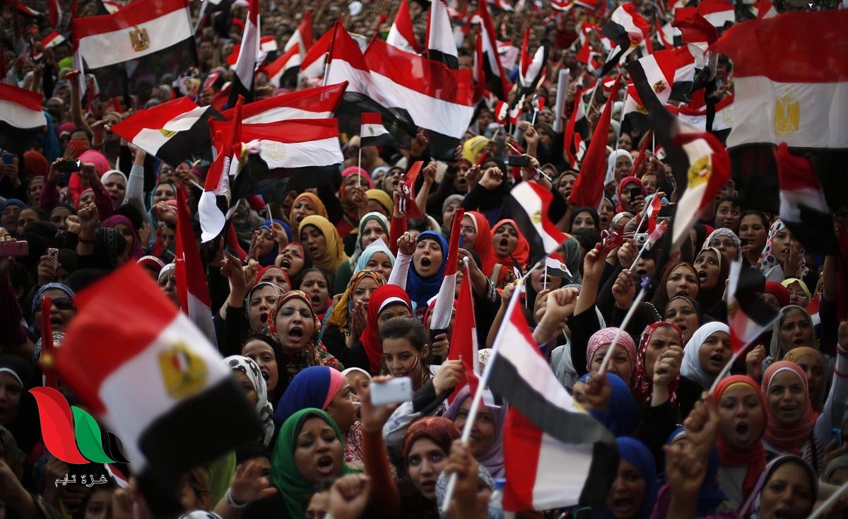 هل يوجد مظاهرات في 11 11 2022 في مصر ؟
