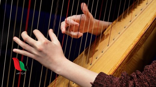 يصدر الصوت عند شد وتر القيثارة ما الذي سيحدث للصوت عند شد نفس الوتر بشكل اقوى