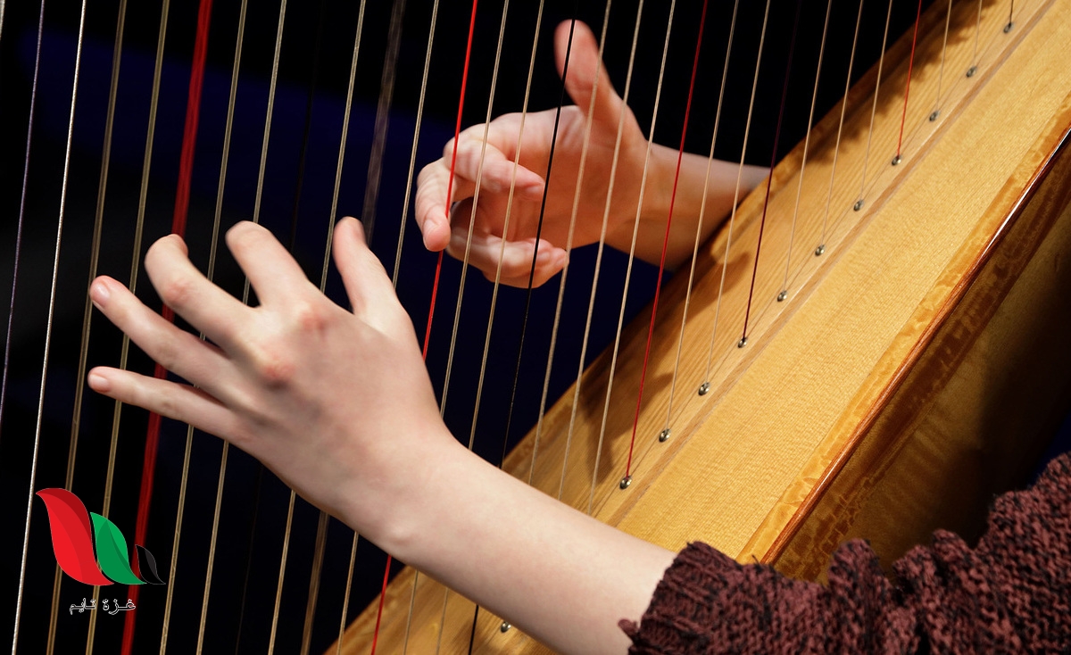 يصدر الصوت عند شد وتر القيثارة ما الذي سيحدث للصوت عند شد نفس الوتر بشكل اقوى