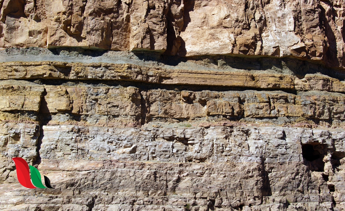 يوضح الرسم ادناه الطبقات الجيولوجية لصخور تحتوي على أحافير