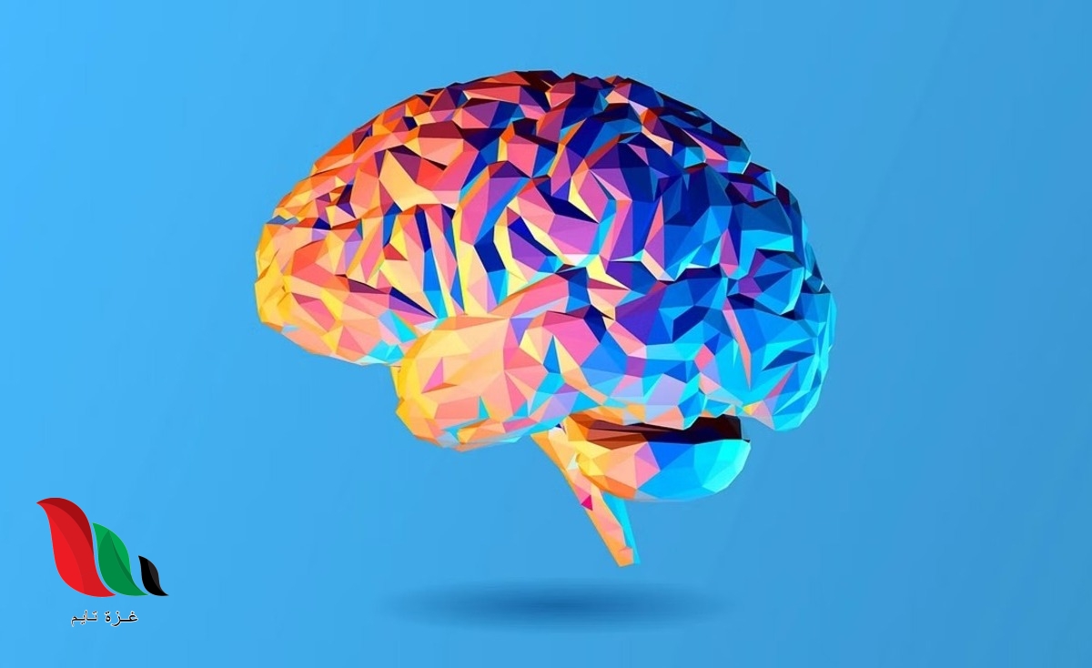 دراسة حديثة تكشف العلاقة بين أدوية الاكتئاب والخرف