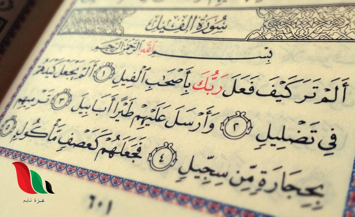 ماهر الزرعيني برنامج سورة الفيل