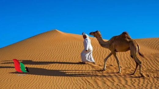 إليكم كلمات قصيدة شيلة من فوق سبع طباق