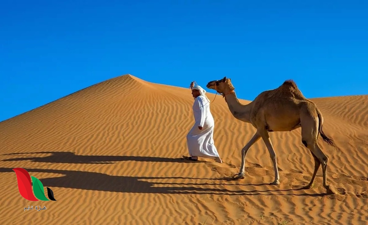 إليكم كلمات قصيدة شيلة من فوق سبع طباق