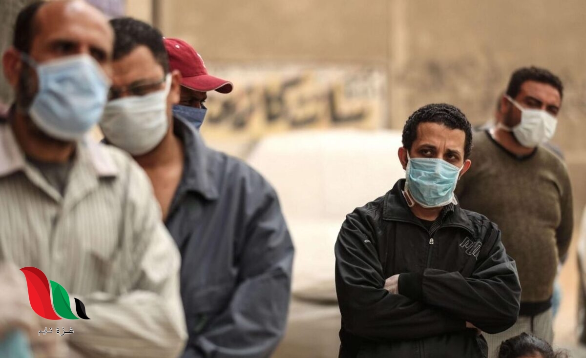 التسجيل في منحة العمالة المتضررة 2022 في مصر .. المواطن اولًا