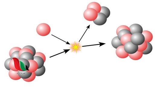 تحتوي نظائر العنصر الواحد على أعداد مختلفة من البروتونات