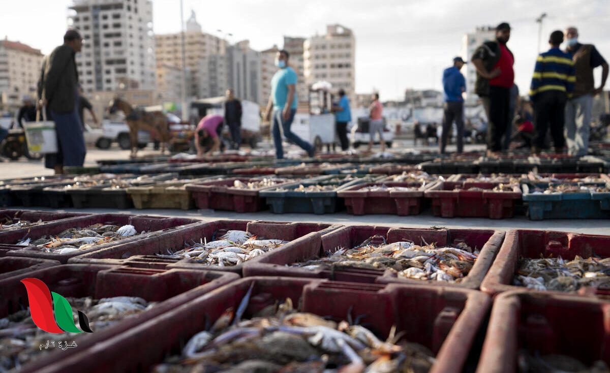 قرار إسرائيلي بحظر تصدير الأسماك من غزة إلى الضفة الغربية