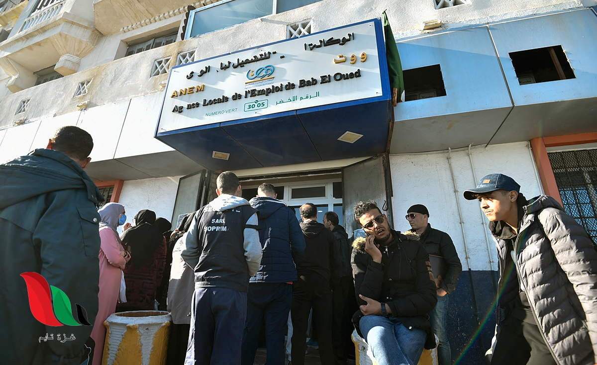 منحة البطالة في الجزائر 2022 الجريدة الرسمية