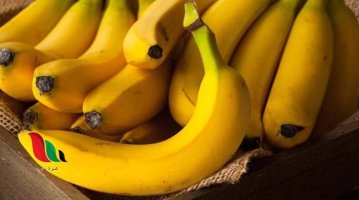 خبيرة تغذية: تناول موزة يوميًا يمنع النوبة القلبية