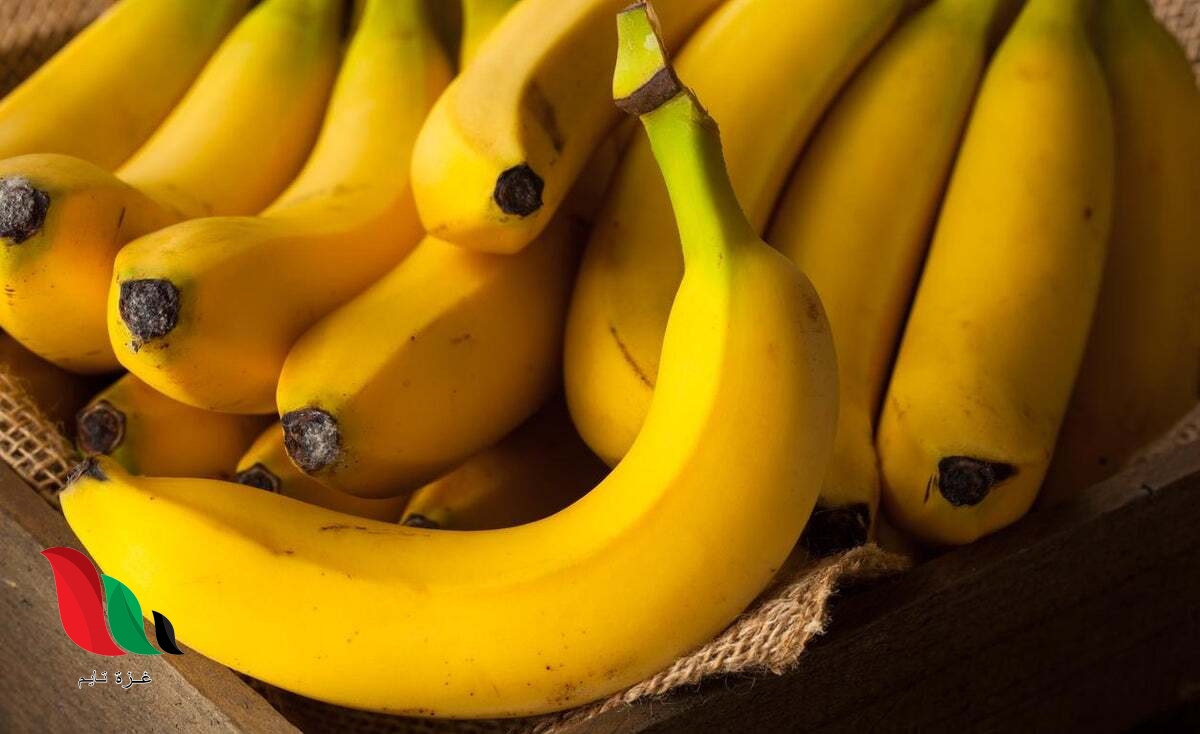 خبيرة تغذية: تناول موزة يوميًا يمنع النوبة القلبية