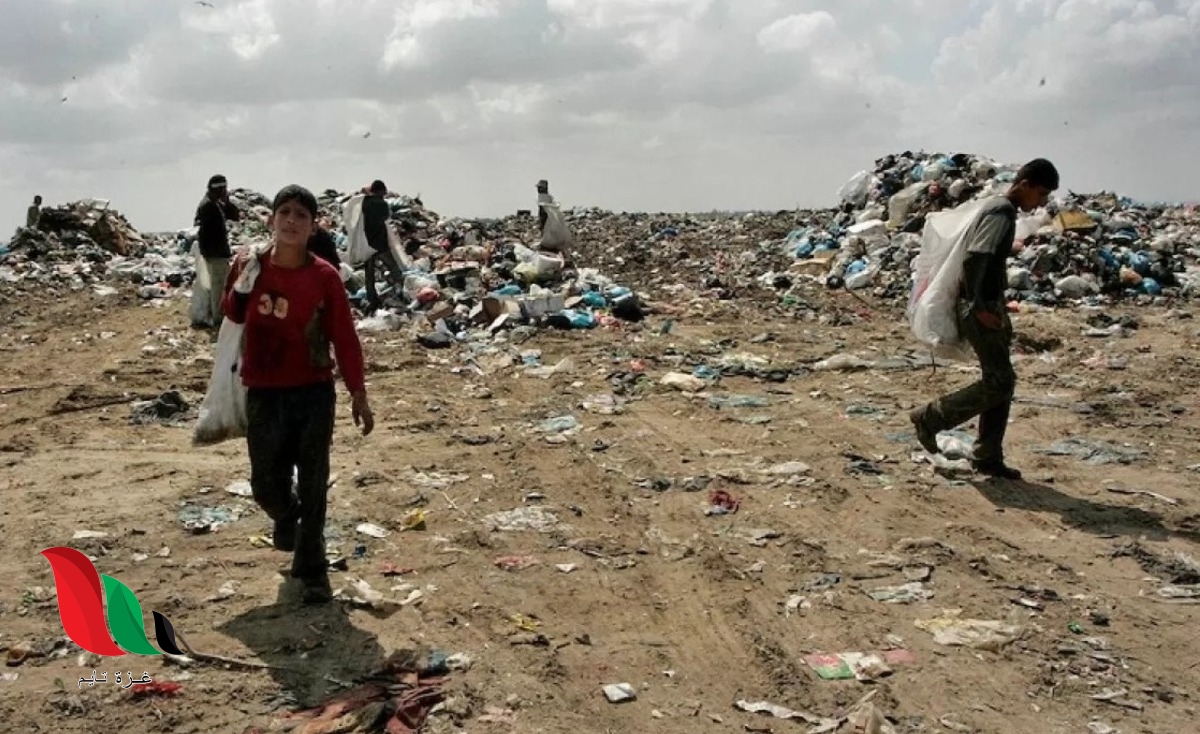 الأطفال يمتهنون نبش النفايات.. مخاطر بيئية وصحية كبيرة