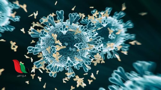 المناعة الاصطناعية هي مناعة تحدث عندما تأتي الأجسام المضادة من مصدر آخر