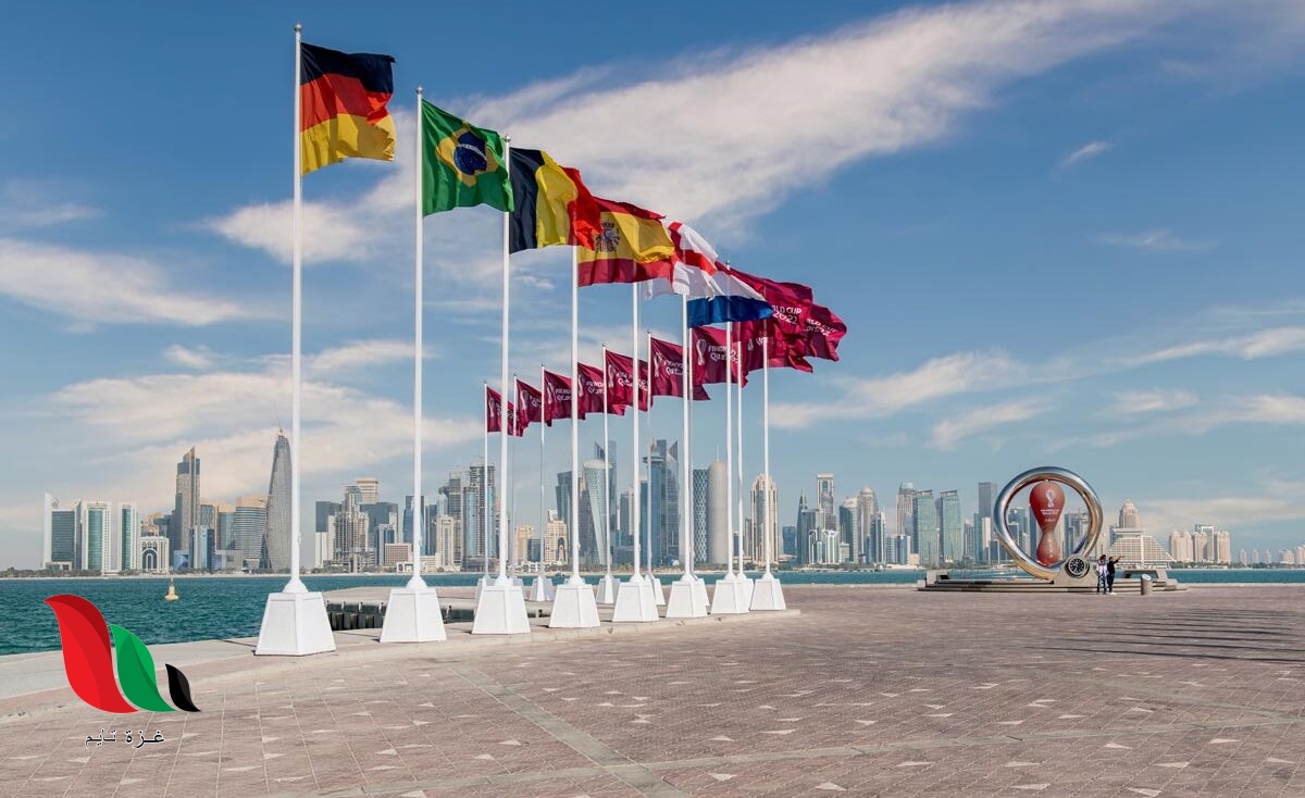 كم ايرادات ارباح قطر من كاس العالم ؟