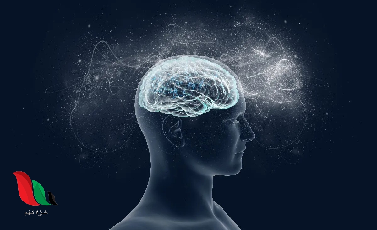 كيف تحافظ على صحة الدماغ من الخرف؟
