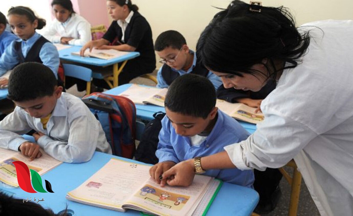 لوائح الانتقاء مباراة التعليم بالتعاقد 2022 2023