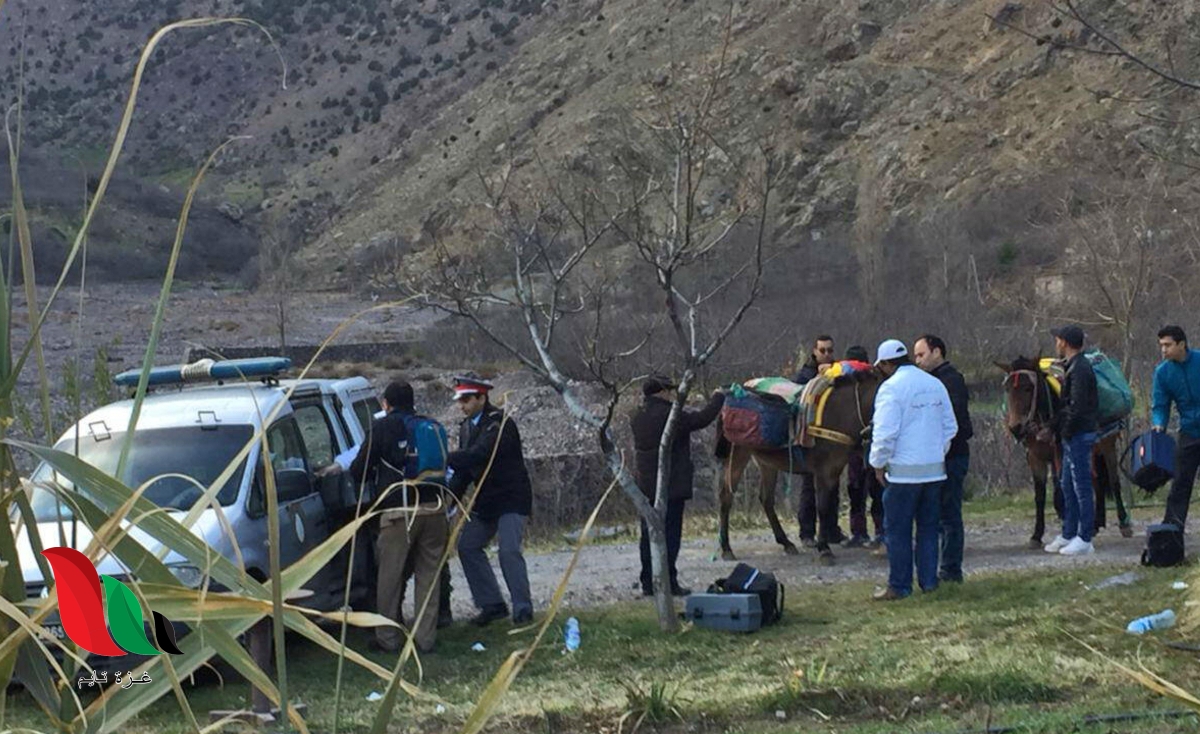 maren unlend isis jonturk tv - غزة تايم