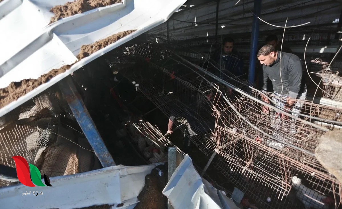 تجار خارج الخدمة بسبب العدوان.. من يتحمل مسؤوليتهم؟