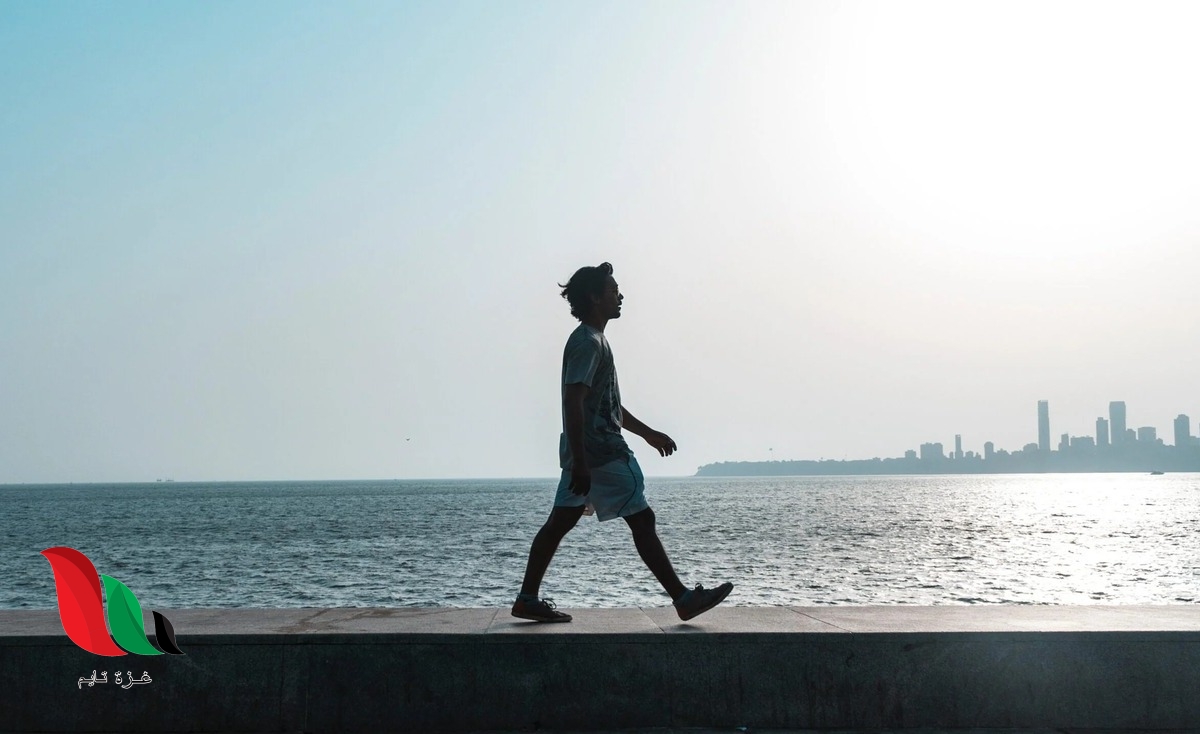 الطاقة الحركية لطالب كتلته 66kg عندما يمشي بسرعة ثابتة ليقطع 500m خلال 10min تساوي