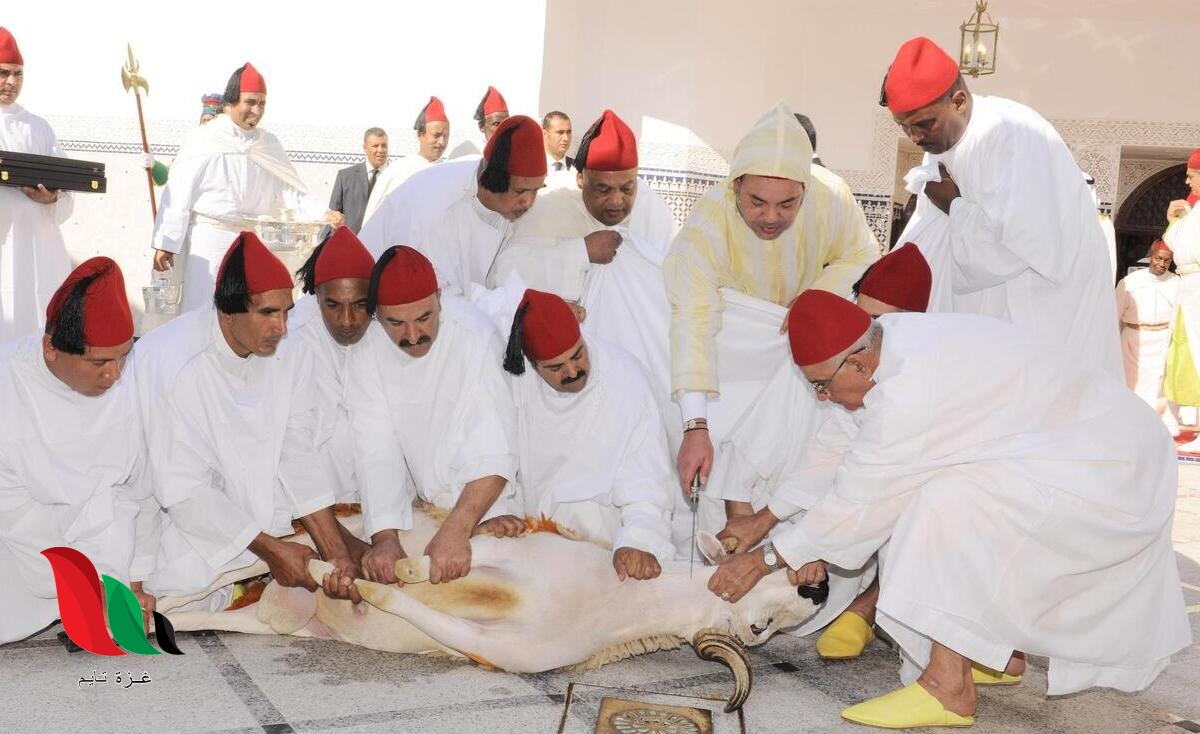 توقيت عيد الأضحى 2023 في المغرب