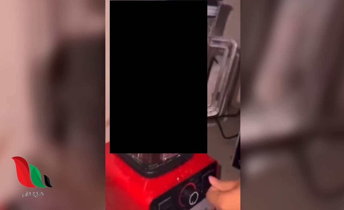 فيديو القطة في الخلاط الحقيقي كامل تليجرام