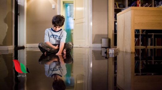 قصة فيلم mirrors ويكيبيديا