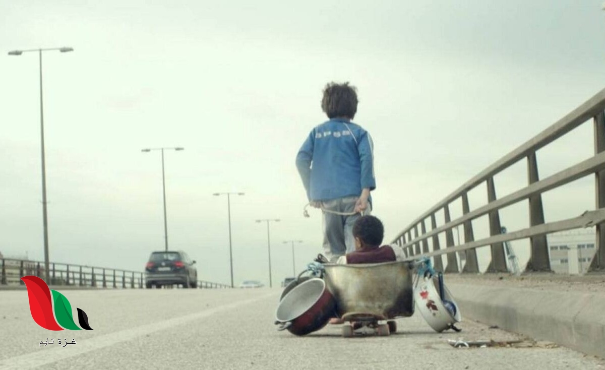 مشاهدة فيلم كفرناحوم كامل ايجي بست