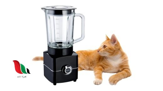 مقطع فيديو القطه في الخلاط the cat in the blender