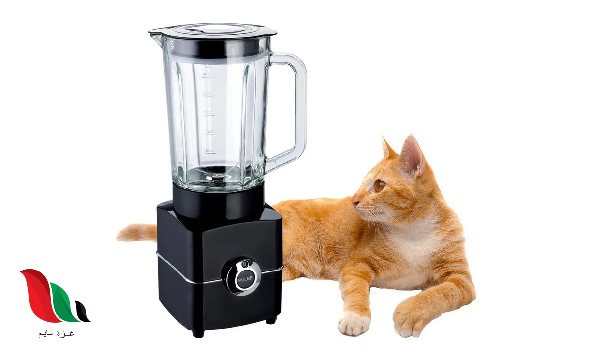 مقطع فيديو القطه في الخلاط the cat in the blender