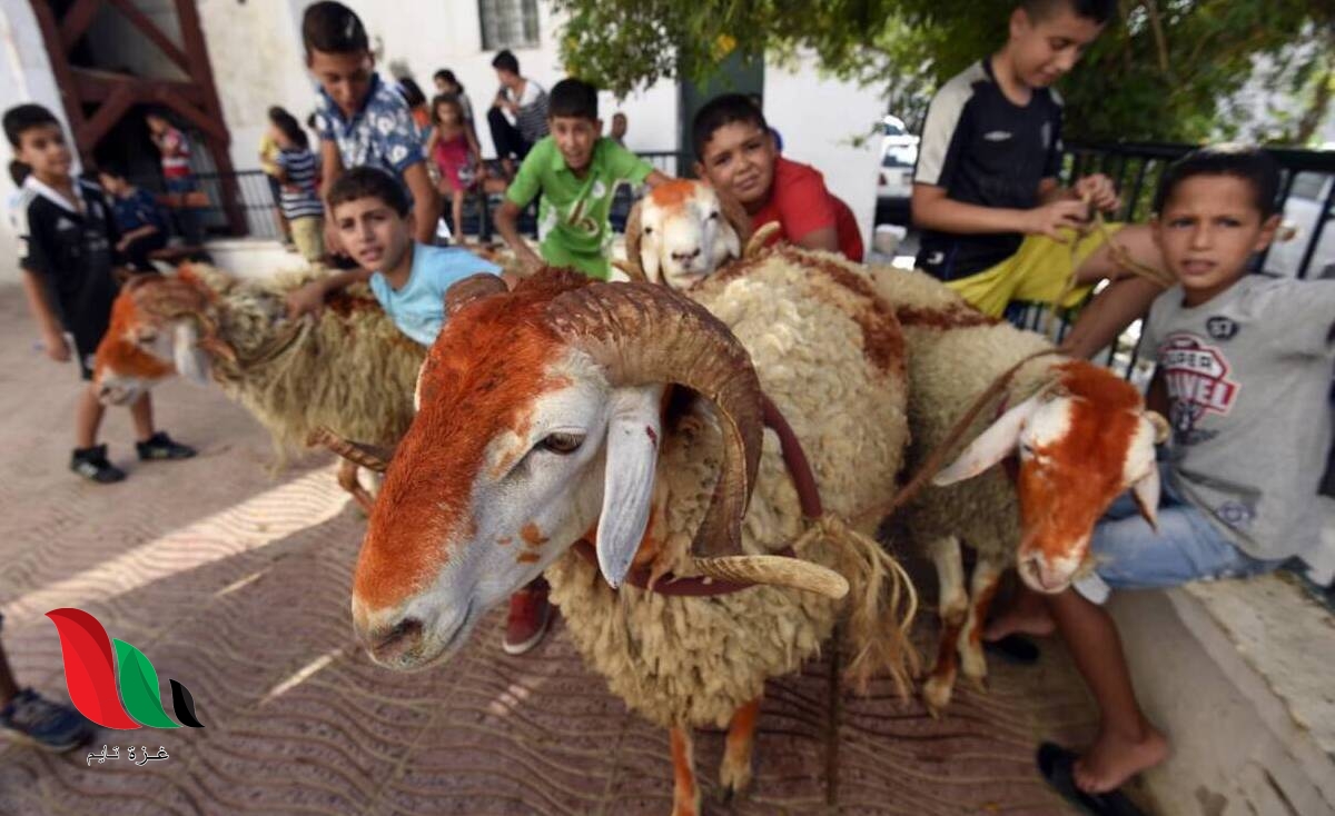 موعد عيد الأضحى 2023 في الجزائر