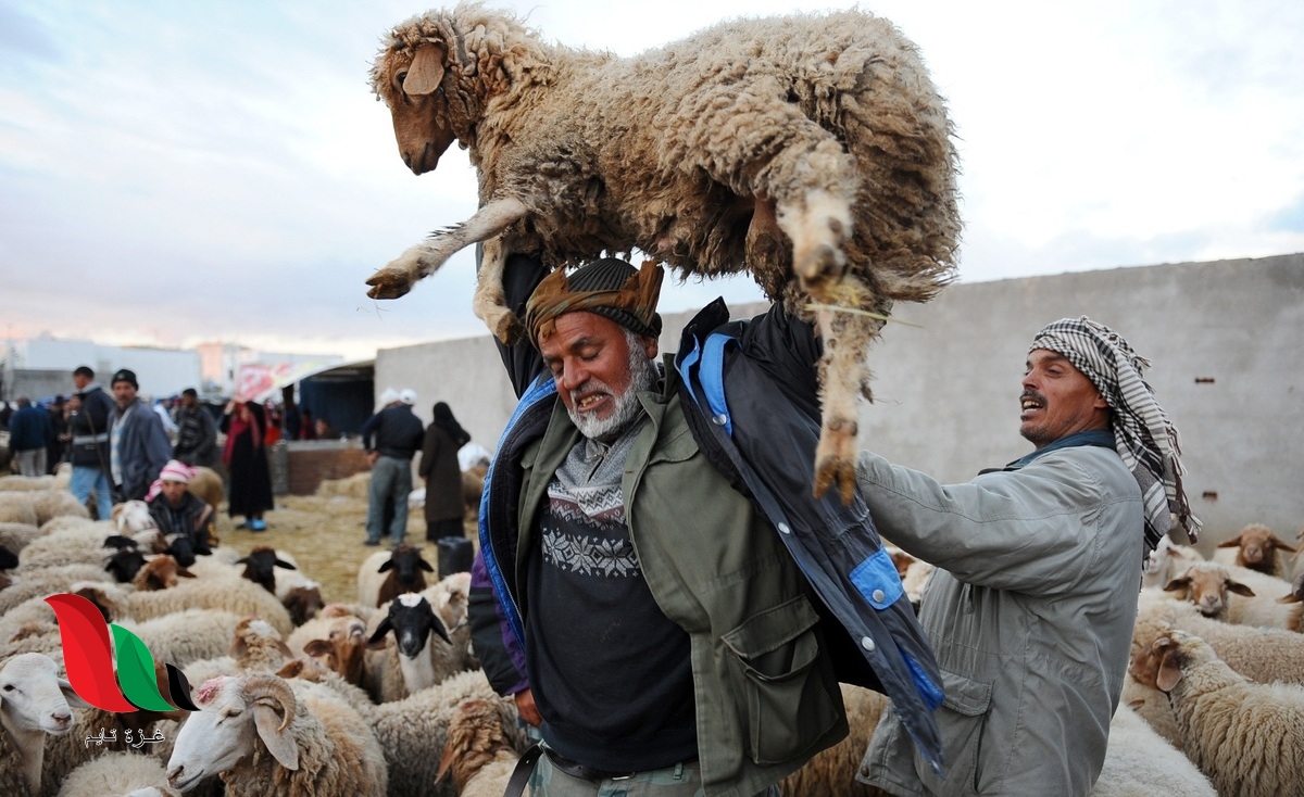 موعد عيد الأضحى 2023 في تونس