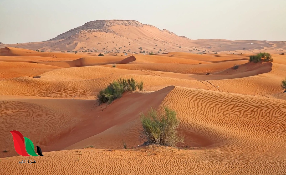 يؤثر الموقع الفلكي في مناخ وطني المملكة العربية السعودية صواب خطأ
