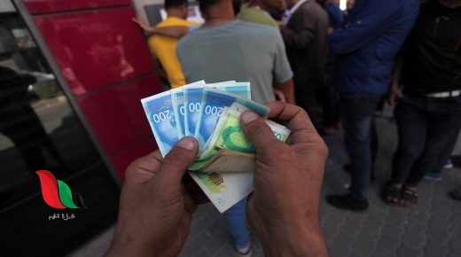 رابط فحص 700 شيكل 2023 للعمال بغزة