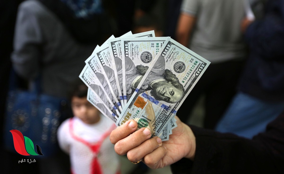 رابط فحص وتحديث بيانات المنحة القطرية في غزة عبر الدخول الموحد