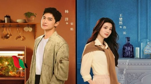 قصة مسلسل fireworks of my heart ويكيبيديا